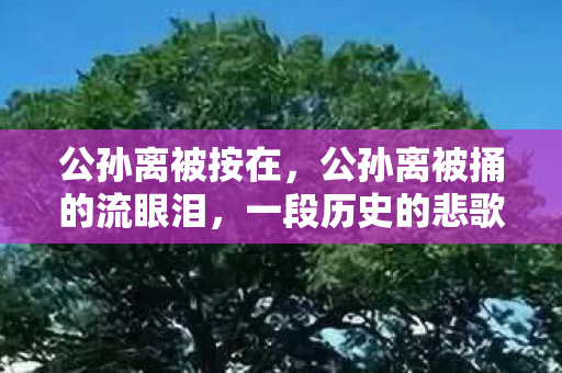公孙离被按在,公孙离被捅的流眼泪,一段历史的悲歌 公孙离被按在,公孙离被捅的流眼泪,一段历史的悲歌