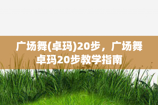 广场舞(卓玛)20步，广场舞卓玛20步教学指南