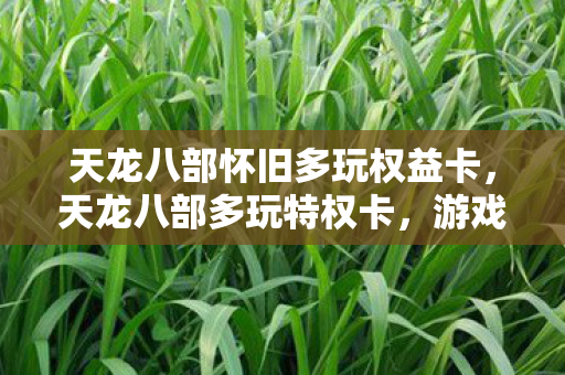 天龙八部怀旧多玩权益卡，天龙八部多玩特权卡，游戏玩家的尊贵身份象征