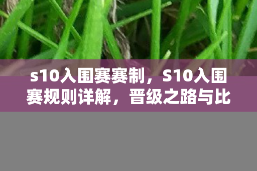 s10入围赛赛制，S10入围赛规则详解，晋级之路与比赛流程