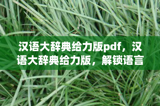 汉语大辞典给力版pdf，汉语大辞典给力版，解锁语言魅力的钥匙