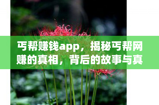 丐帮赚钱app，揭秘丐帮网赚的真相，背后的故事与真相探寻