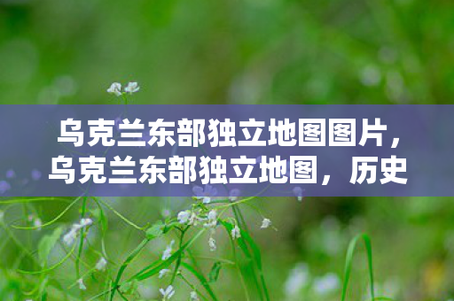 乌克兰东部独立地图图片,乌克兰东部独立地图,历史、现实与争议 乌克兰东部独立地图图片,乌克兰东部独立地图,历史、现实与争议