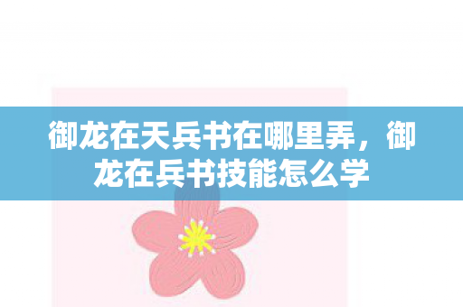 御龙在天兵书在哪里弄，御龙在兵书技能怎么学