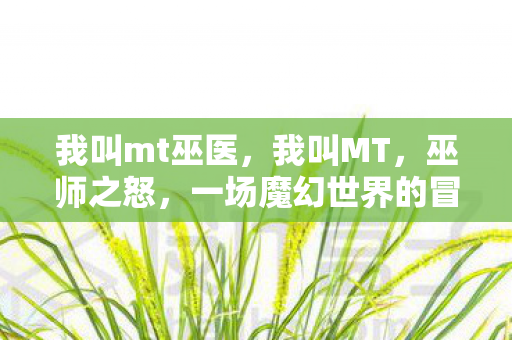 我叫mt巫医，我叫MT，巫师之怒，一场魔幻世界的冒险之旅