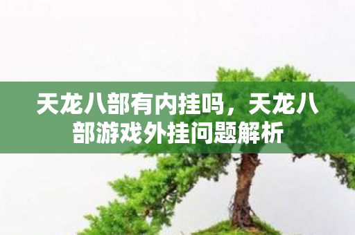 天龙八部有内挂吗，天龙八部游戏外挂问题解析