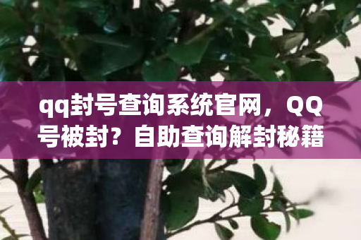 qq封号查询系统官网,QQ号被封?自助查询解封秘籍! qq封号查询系统官网,QQ号被封?自助查询解封秘籍!