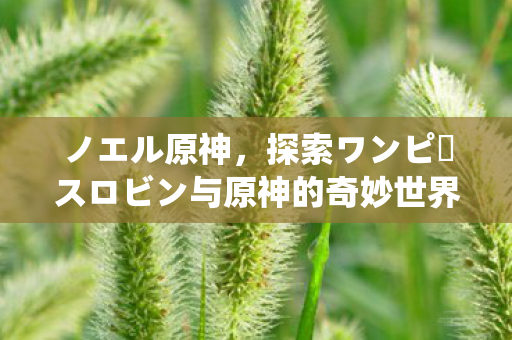 ノエル原神，探索ワンピースロビン与原神的奇妙世界，两个游戏的不同魅力与相似之处