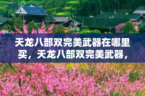 天龙八部双完美武器在哪里买，天龙八部双完美武器，探寻绝世神兵的秘密