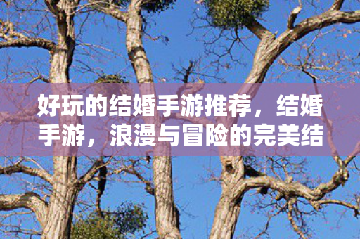 好玩的结婚手游推荐，结婚手游，浪漫与冒险的完美结合