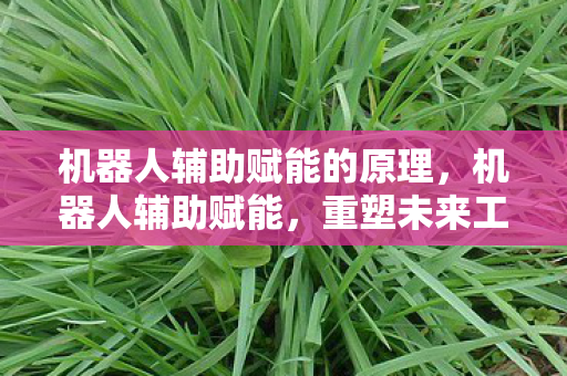 机器人辅助赋能的原理，机器人辅助赋能，重塑未来工作与生活的新篇章