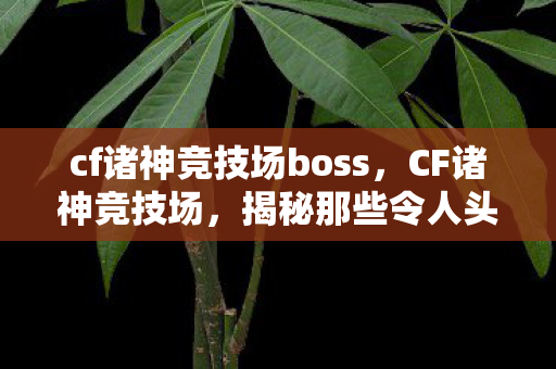 cf诸神竞技场boss,CF诸神竞技场,揭秘那些令人头疼的BUG cf诸神竞技场boss,CF诸神竞技场,揭秘那些令人头疼的BUG