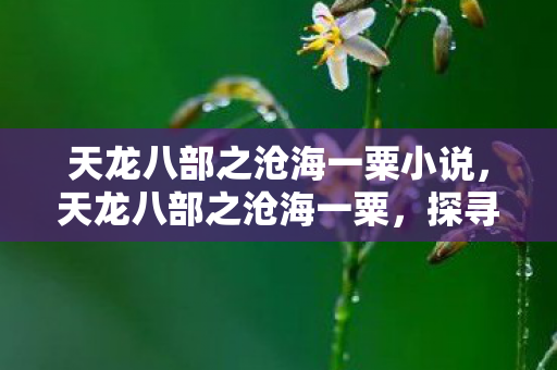 天龙八部之沧海一粟小说，天龙八部之沧海一粟，探寻武侠世界的微观英雄