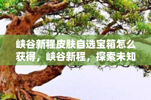 峡谷新程皮肤自选宝箱怎么获得，峡谷新程，探索未知，挑战自我