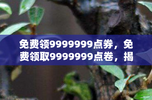 免费领9999999点券,免费领取9999999点卷,揭秘游戏点卷获取真相 免费领9999999点券,免费领取9999999点卷,揭秘游戏点卷获取真相