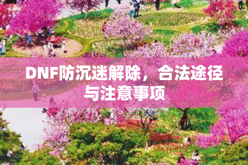 DNF防沉迷解除，合法途径与注意事项