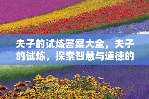 夫子的试炼答案大全，夫子的试炼，探索智慧与道德的边界