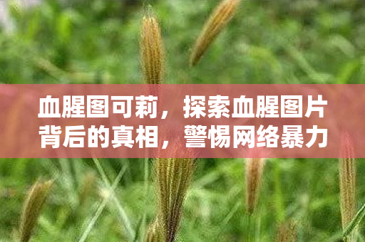 血腥图可莉,探索血腥图片背后的真相,警惕网络暴力与心理健康 血腥图可莉,探索血腥图片背后的真相,警惕网络暴力与心理健康