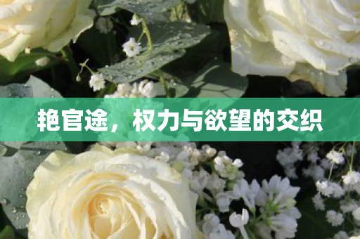 艳官途,权力与欲望的交织 艳官途,权力与欲望的交织