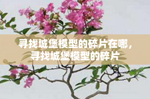 寻找城堡模型的碎片在哪,寻找城堡模型的碎片 寻找城堡模型的碎片在哪,寻找城堡模型的碎片