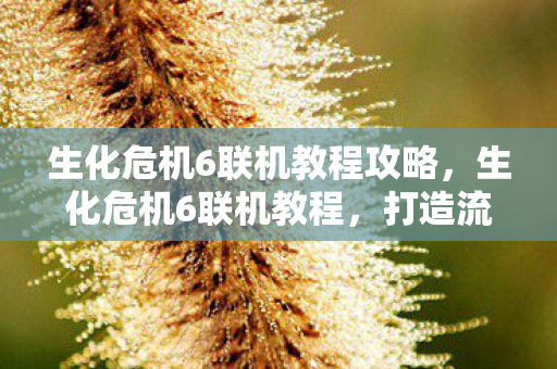生化危机6联机教程攻略，生化危机6联机教程，打造流畅游戏体验