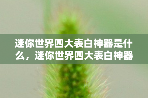 迷你世界四大表白神器是什么，迷你世界四大表白神器