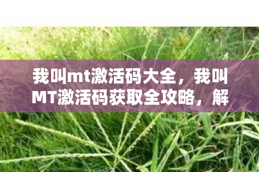 我叫mt激活码大全，我叫MT激活码获取全攻略，解锁你的游戏之旅