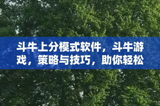 斗牛上分模式软件，斗牛游戏，策略与技巧，助你轻松上分
