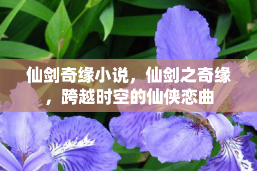 仙剑奇缘小说,仙剑之奇缘,跨越时空的仙侠恋曲 仙剑奇缘小说,仙剑之奇缘,跨越时空的仙侠恋曲