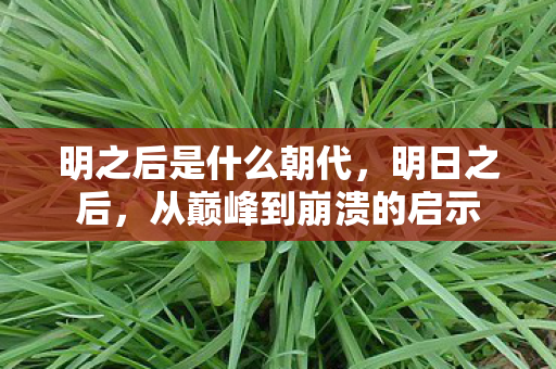 明之后是什么朝代,明日之后,从巅峰到崩溃的启示 明之后是什么朝代,明日之后,从巅峰到崩溃的启示