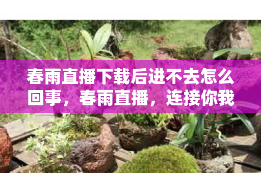 春雨直播下载后进不去怎么回事,春雨直播,连接你我,共享美好瞬间 春雨直播下载后进不去怎么回事,春雨直播,连接你我,共享美好瞬间