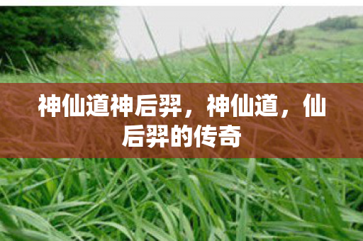 神仙道神后羿，神仙道，仙后羿的传奇