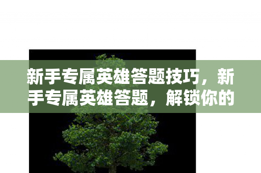 新手专属英雄答题技巧,新手专属英雄答题,解锁你的游戏之旅 新手专属英雄答题技巧,新手专属英雄答题,解锁你的游戏之旅