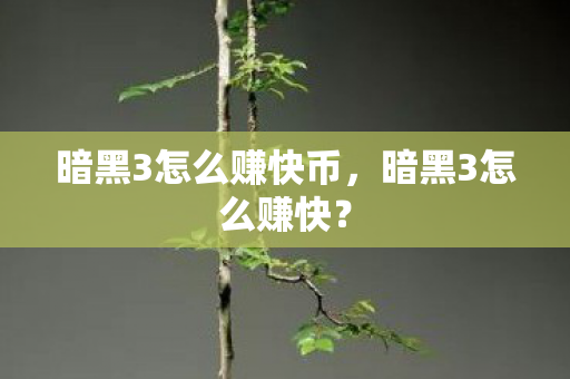 暗黑3怎么赚快币，暗黑3怎么赚快？