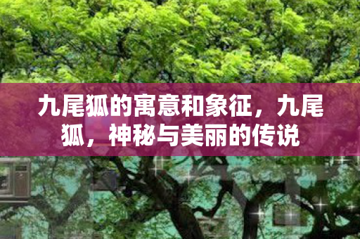 九尾狐的寓意和象征,九尾狐,神秘与美丽的传说 九尾狐的寓意和象征,九尾狐,神秘与美丽的传说
