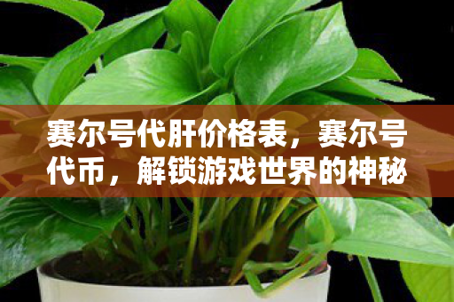 赛尔号代肝价格表，赛尔号代币，解锁游戏世界的神秘钥匙