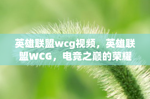 英雄联盟wcg视频,英雄联盟WCG,电竞之巅的荣耀之战 英雄联盟wcg视频,英雄联盟WCG,电竞之巅的荣耀之战