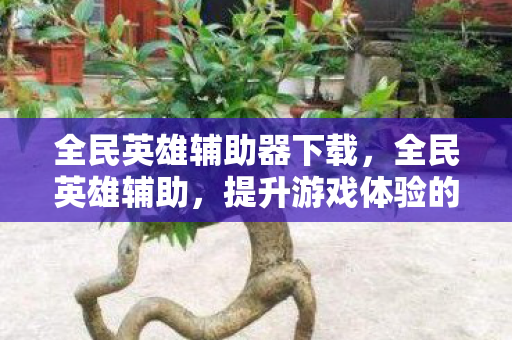 全民英雄辅助器下载,全民英雄辅助,提升游戏体验的合法途径 全民英雄辅助器下载,全民英雄辅助,提升游戏体验的合法途径