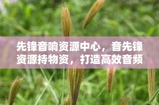 先锋音响资源中心，音先锋资源持物资，打造高效音频制作与传播的基石