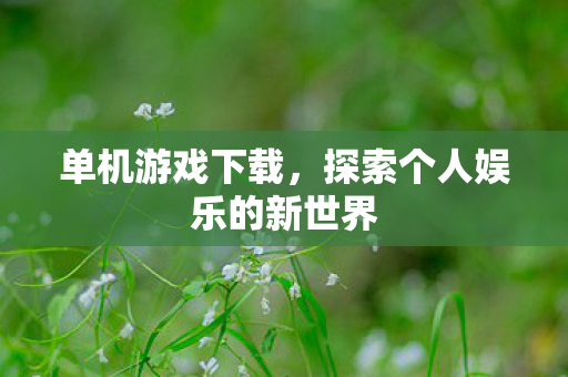 单机游戏下载，探索个人娱乐的新世界