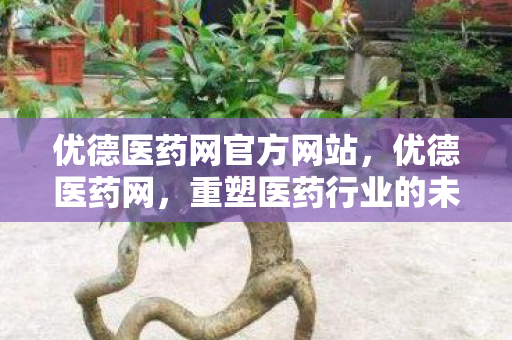 优德医药网官方网站，优德医药网，重塑医药行业的未来
