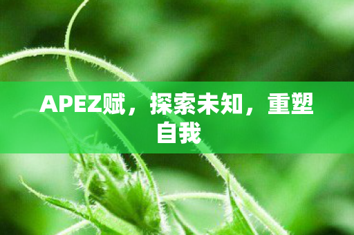 APEZ赋，探索未知，重塑自我