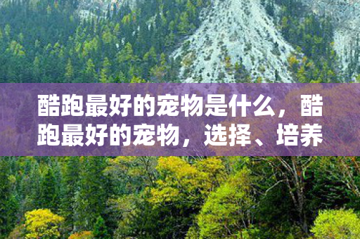 酷跑最好的宠物是什么,酷跑最好的宠物,选择、培养与搭配指南 酷跑最好的宠物是什么,酷跑最好的宠物,选择、培养与搭配指南