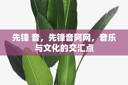 先锋 音，先锋音阿网，音乐与文化的交汇点