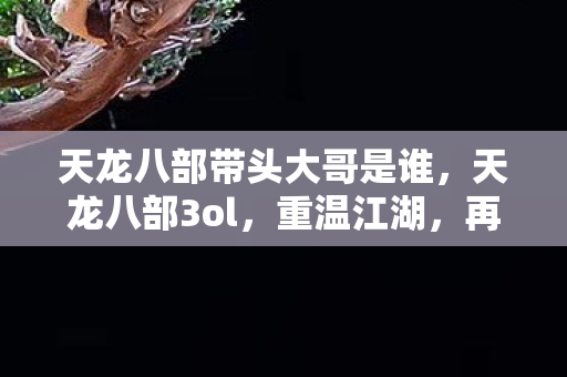 天龙八部带头大哥是谁，天龙八部3ol，重温江湖，再续英雄传奇