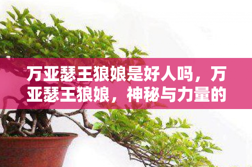 万亚瑟王狼娘是好人吗，万亚瑟王狼娘，神秘与力量的化身