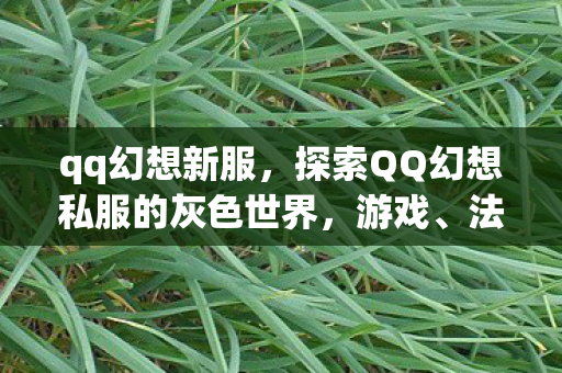 qq幻想新服,探索QQ幻想私服的灰色世界,游戏、法律与道德的边界 qq幻想新服,探索QQ幻想私服的灰色世界,游戏、法律与道德的边界