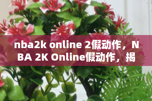 nba2k online 2假动作，NBA 2K Online假动作，揭秘赛场上的欺骗艺术