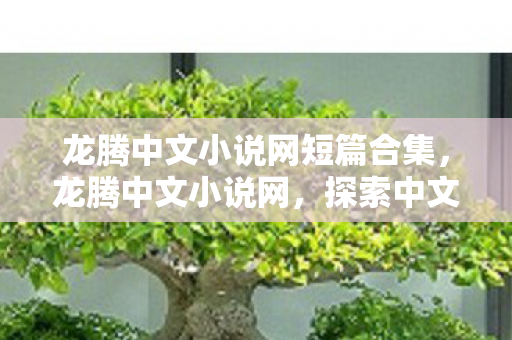 龙腾中文小说网短篇合集,龙腾中文小说网,探索中文网络文学的璀璨世界 龙腾中文小说网短篇合集,龙腾中文小说网,探索中文网络文学的璀璨世界
