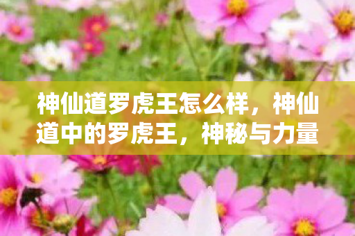 神仙道罗虎王怎么样,神仙道中的罗虎王,神秘与力量的化身 神仙道罗虎王怎么样,神仙道中的罗虎王,神秘与力量的化身